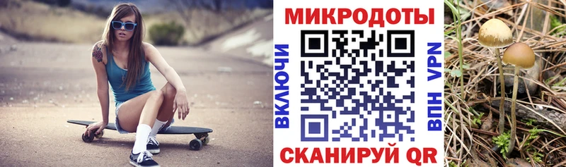 Купить где  Щигры  Псилоцибиновые грибы Psilocybe 